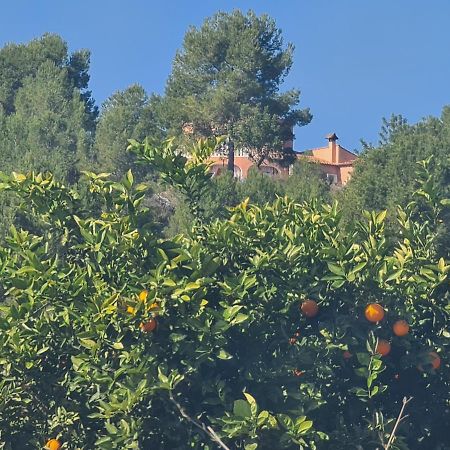 Chateau Angelique Guest House Valencia Eksteriør bilde